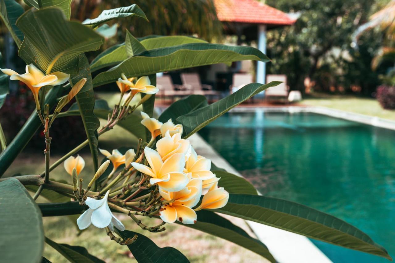 Bali Mynah Villas Resort Jimbaran Esterno foto